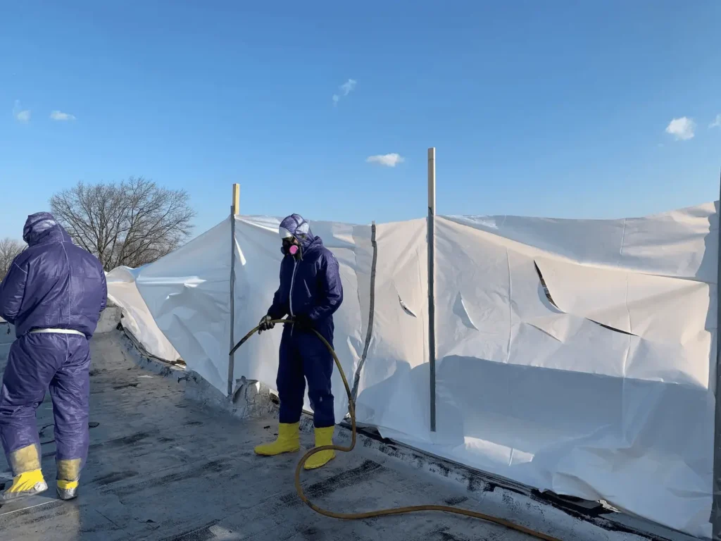 edelweiss-kh-team-performing-asbestos-removal-services (16)